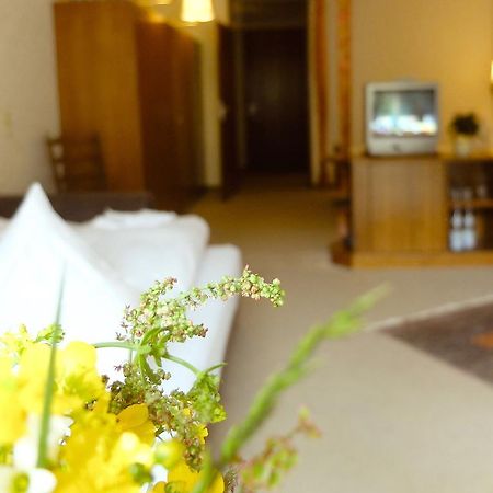 Melyek a legjobb hotelek Baumwipfelpfad Schwarzwald közelében? Bad Wildbad Kültér fotó