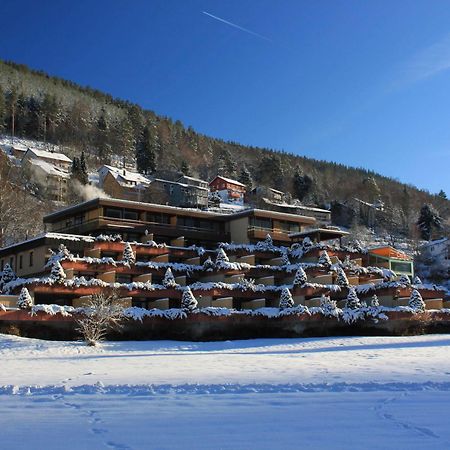 Melyek a legjobb hotelek Baumwipfelpfad Schwarzwald közelében? Bad Wildbad Kültér fotó