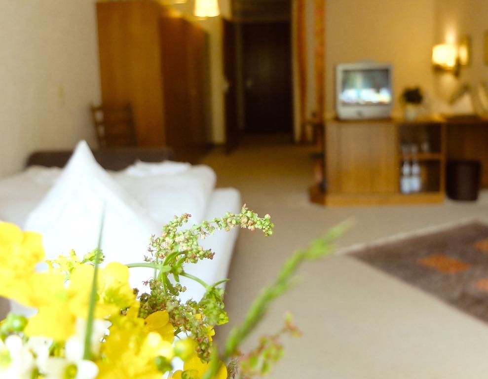 Melyek a legjobb hotelek Baumwipfelpfad Schwarzwald közelében? Bad Wildbad Kültér fotó