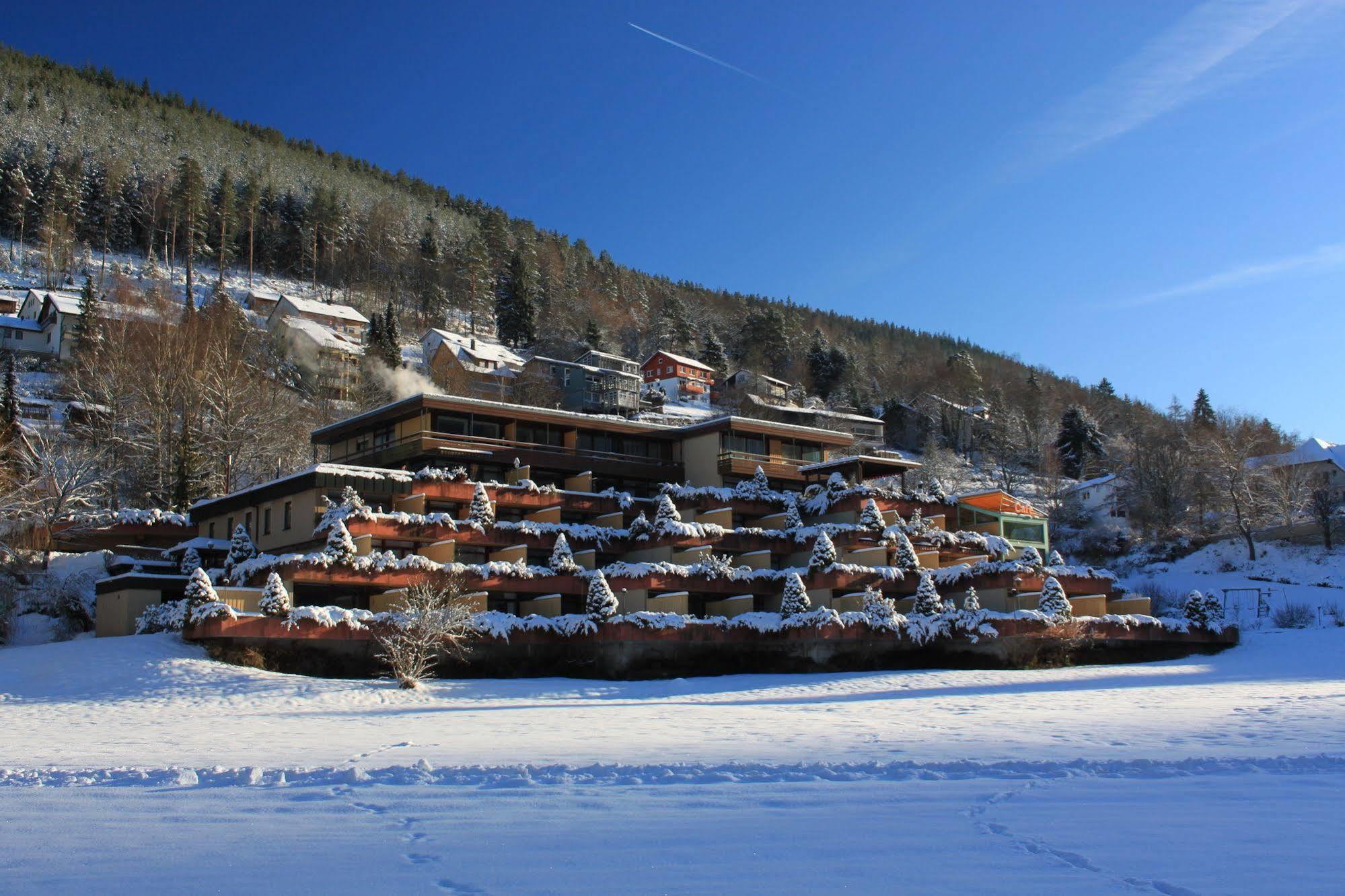 Melyek a legjobb hotelek Baumwipfelpfad Schwarzwald közelében? Bad Wildbad Kültér fotó