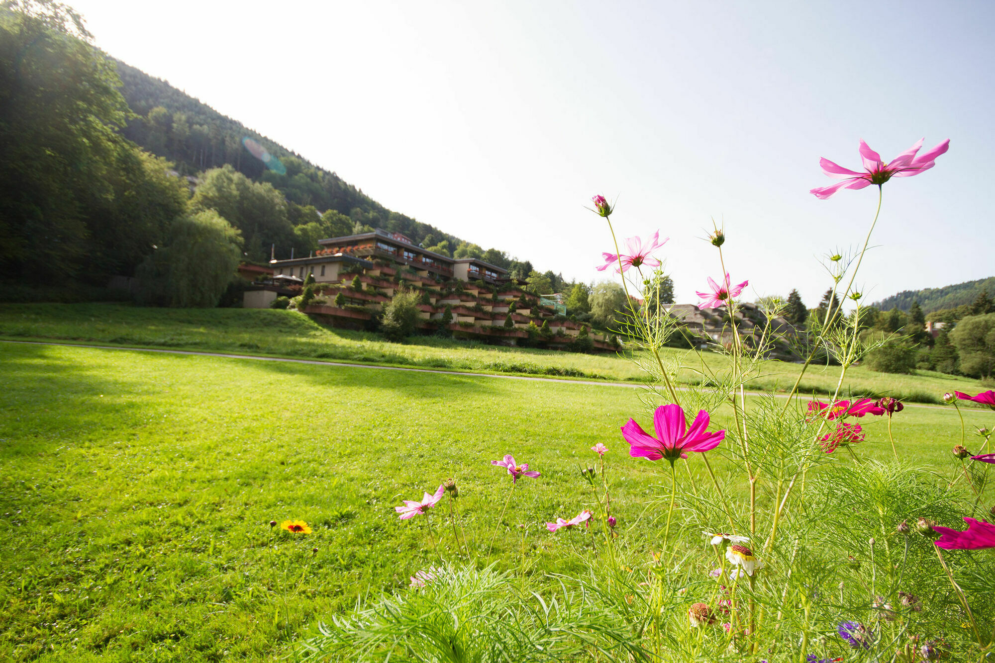 Melyek a legjobb hotelek Baumwipfelpfad Schwarzwald közelében? Bad Wildbad Kültér fotó
